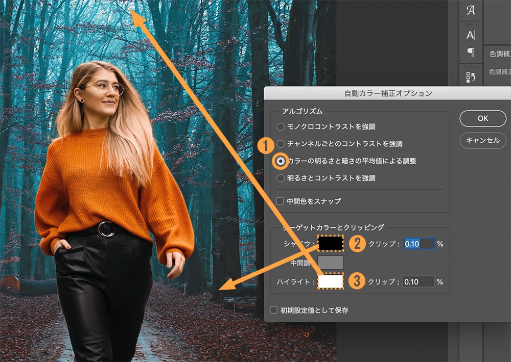 Photoshopで合成 切り取った画像と背景の色合いをなじませる手順 夢みるゴリラ